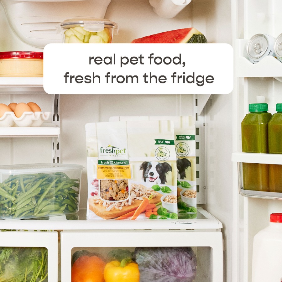 4 pack Fresh Dog Food, Fresh F - Home Cooking Recipes review and price