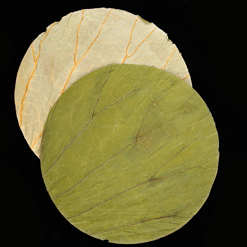 50Pcs 22cm Big Natural Dried L - Home Cooking Recipes review and price